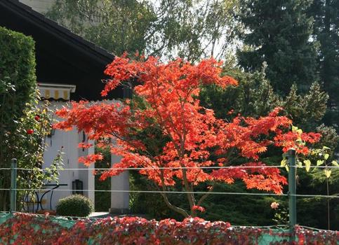 Herbstfarben
