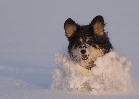 Winterfreuden