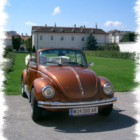 VW-Käfer