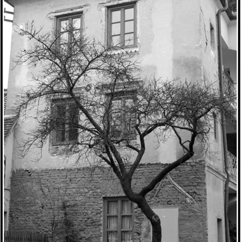 old house