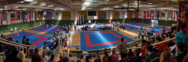 Karate WM 3
