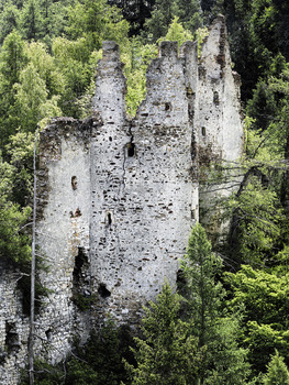 Die letzten Mauern versinken im Wald