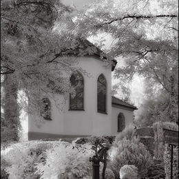 Auf dem Stadtfriedhof
