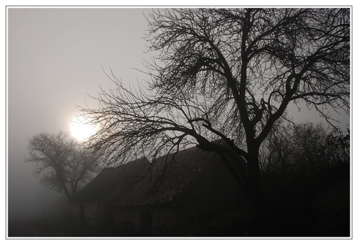 foggy