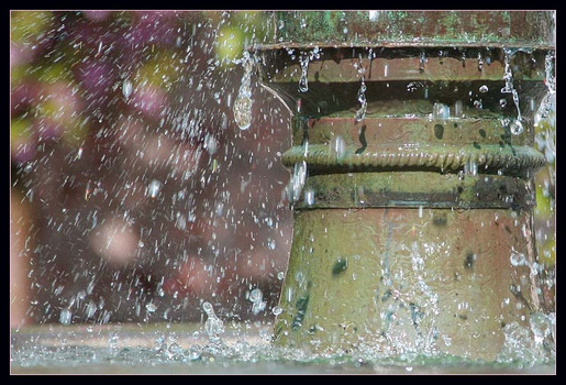 Wasser