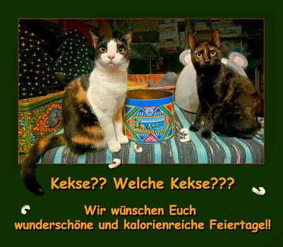 Frohes Fest & guten Rutsch!!