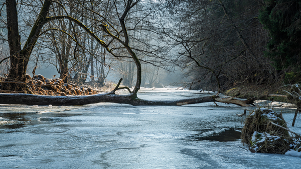 Wintermorgen am Kamp