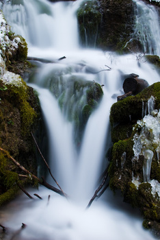 Wasser