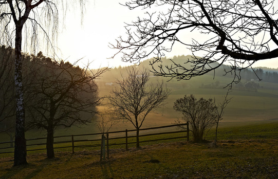 im letzten  abendlicht