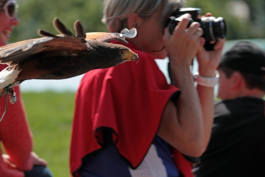 Adler