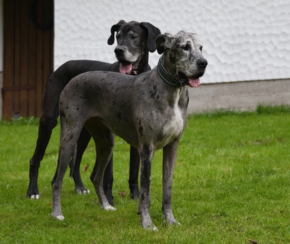 Onkel und Nichte