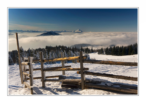 Nebel und der Ötscher