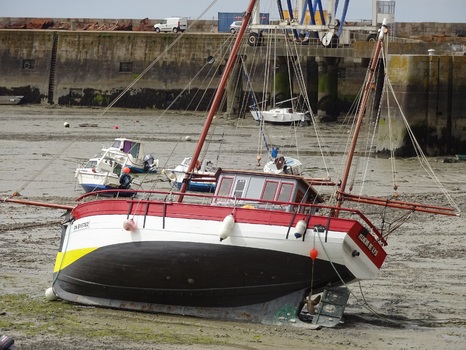 Ebbe