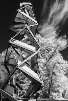 Murturm im Auwald