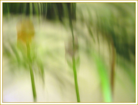 Blumen