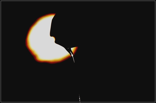.... nachT ....