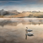 Morning at Pernica lake