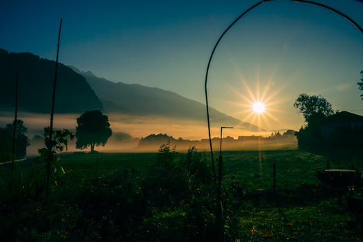 good morning