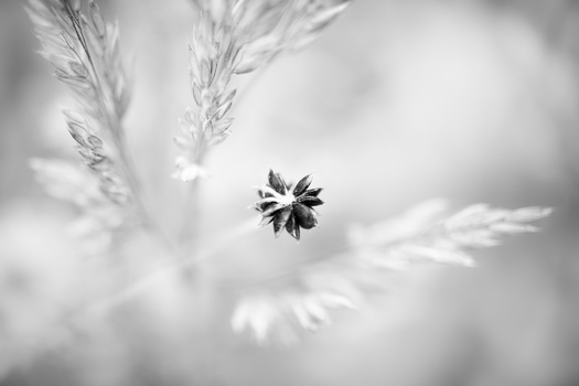 0218