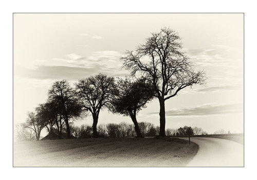 Novemberstimmung