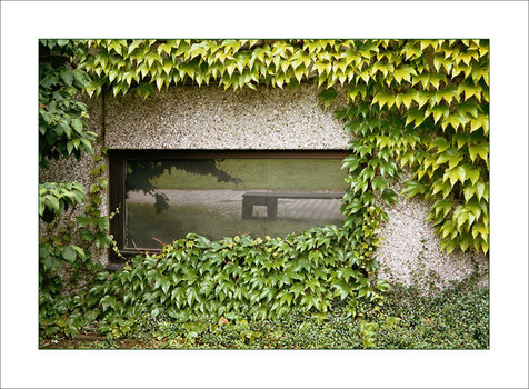 Urbane Vegetation