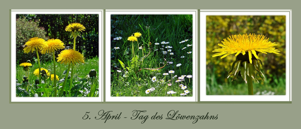 die Gelben