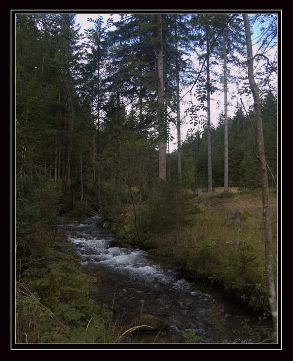 Unberührte Natur