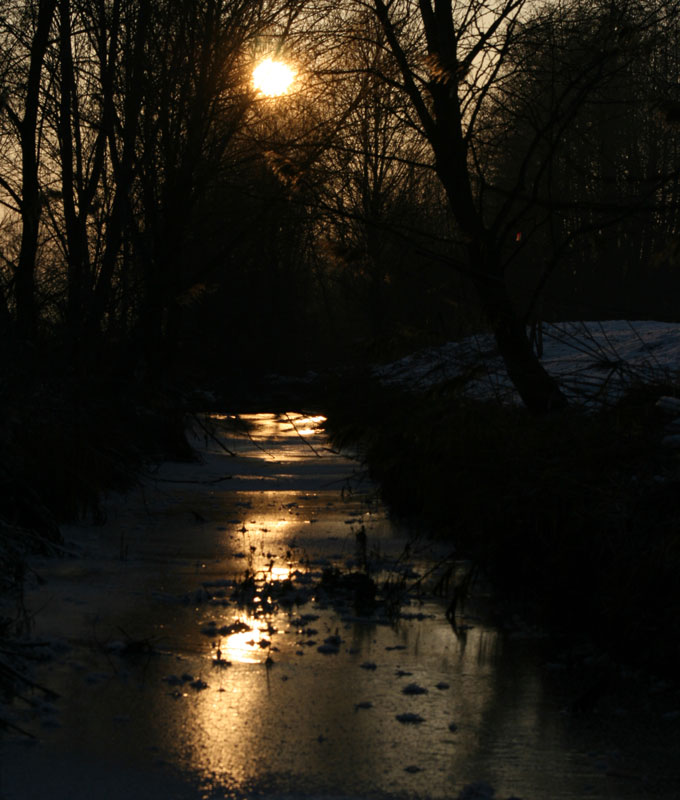 Im Licht der Nacht