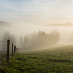 Herbstnebel 2