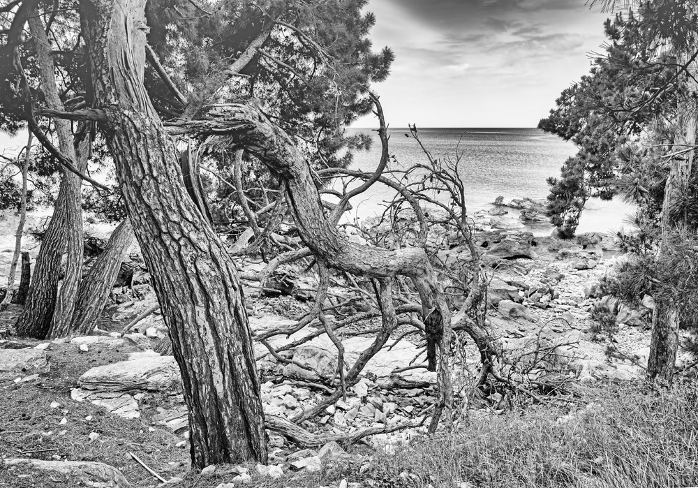 Am Strand in Kroatien