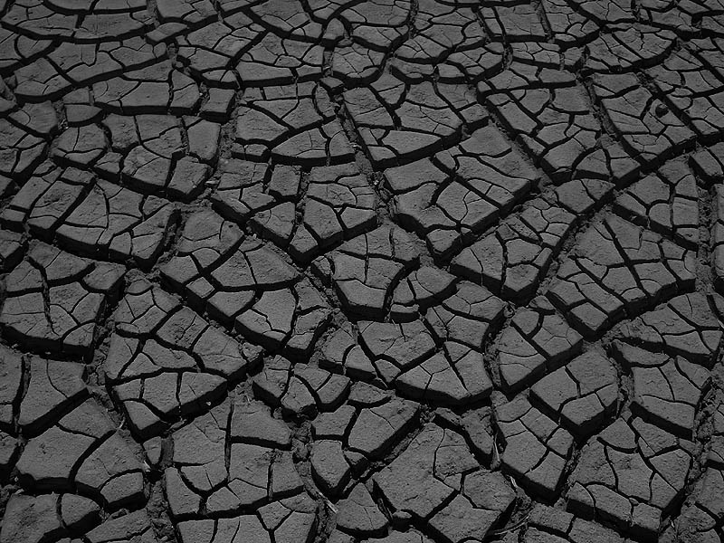 Dry Country II