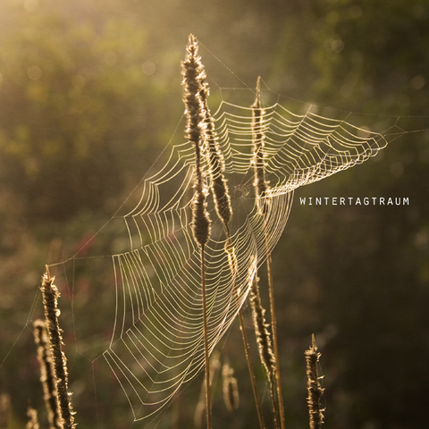.:Zwischen Tag und Traum:.