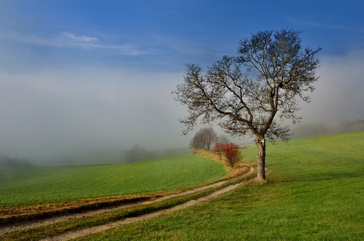 an der Nebelgrenze 4