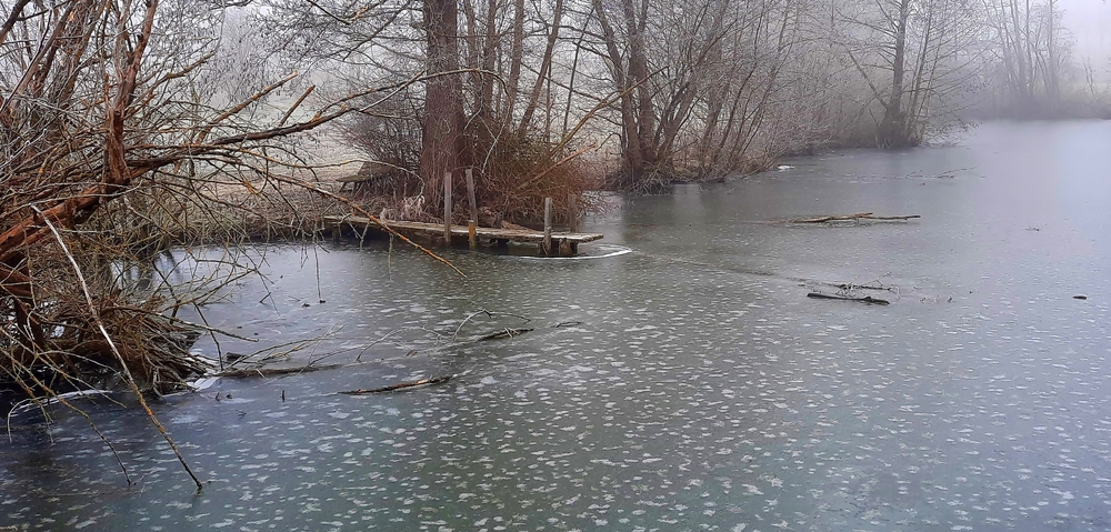 Eis am Teich...