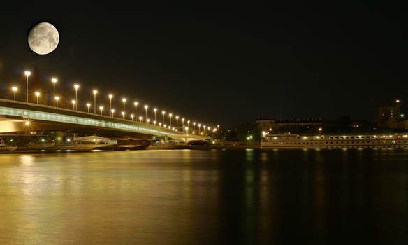 Nightwalk an der Reichsbrücke