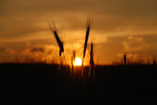 Sonnenuntergang