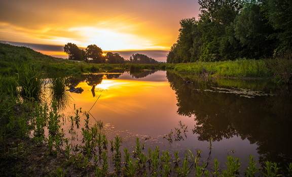 Sonnenaufgang im Machland