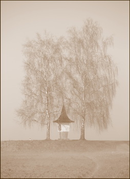 Zart