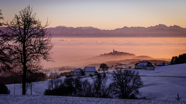 Insel im Nebelmeer
