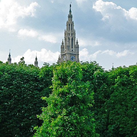 Turm oder Baum
