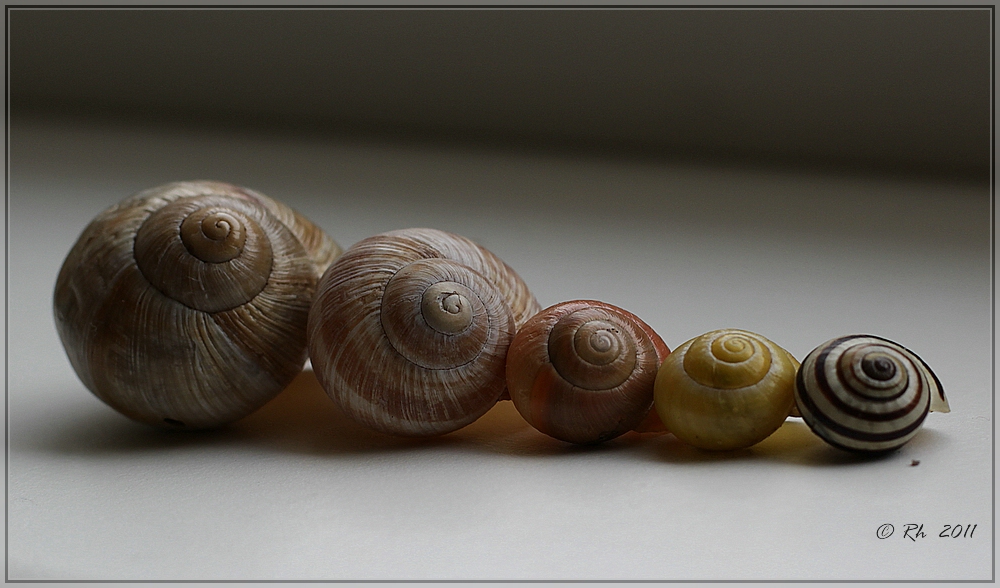 Immobilien