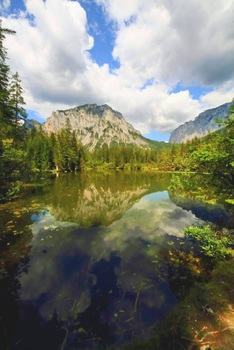 Grüner See