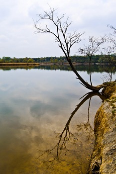 Spiegel Bild