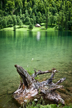 Königssee