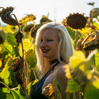 Lachende Sonnenblumen