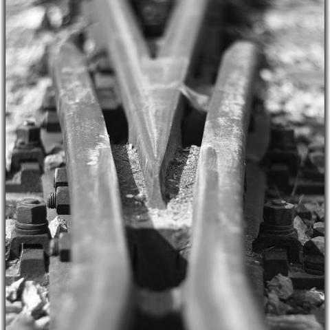 Trails