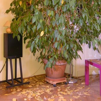 Herbst im Wohnzimmer