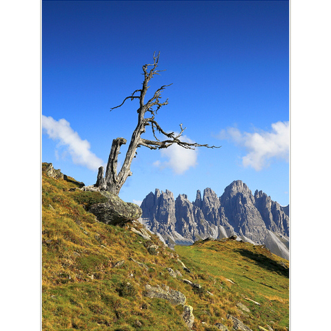 Der Wächter am Grat