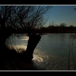 Schönauer Teich 4