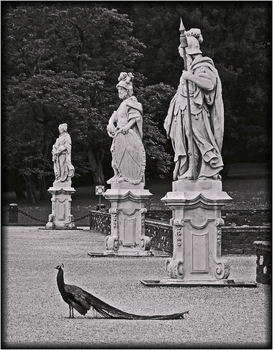 Wächter im Park